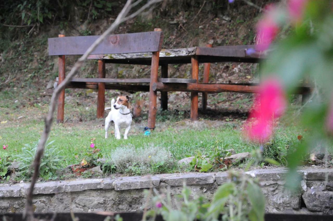 Il Molino Di Serravalle 비비엔나 외부 사진