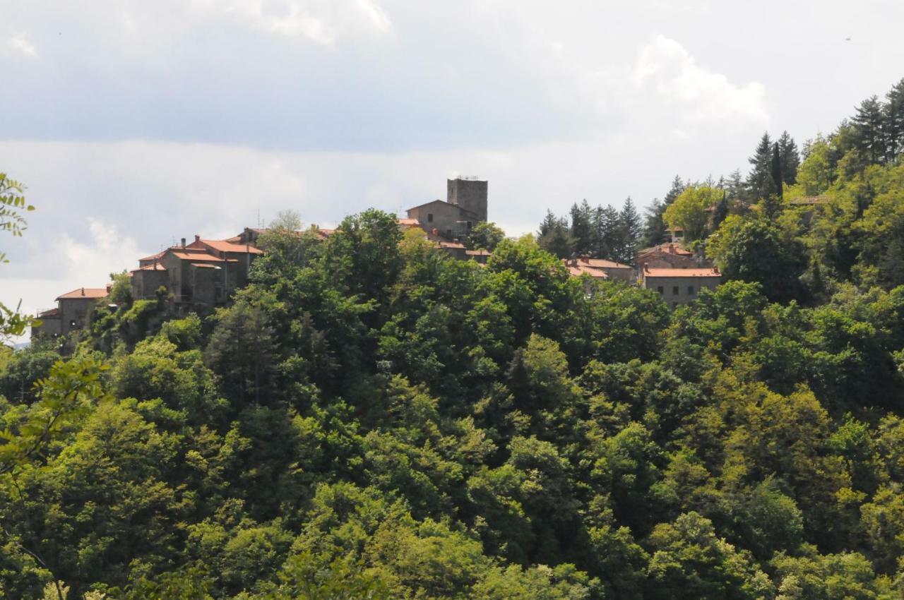 Il Molino Di Serravalle 비비엔나 외부 사진